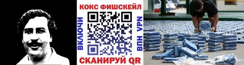 COCAIN Fish Scale  Шуя 