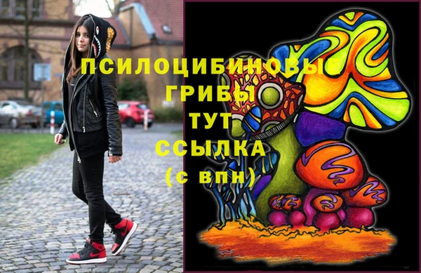 бутират Богородицк
