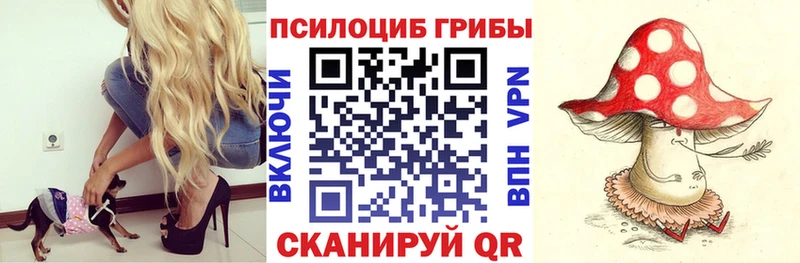 Псилоцибиновые грибы MAGIC MUSHROOMS  блэк спрут сайт  Шуя 